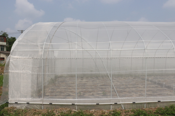 Spanne Polytunnel Sri Lanka Colombo Steel Frame Greenhouse Single