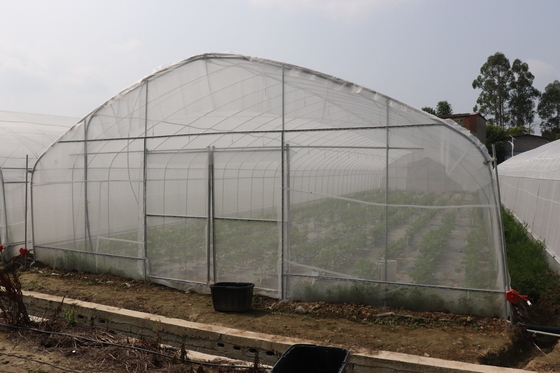 Spanne Polytunnel Sri Lanka Colombo Steel Frame Greenhouse Single