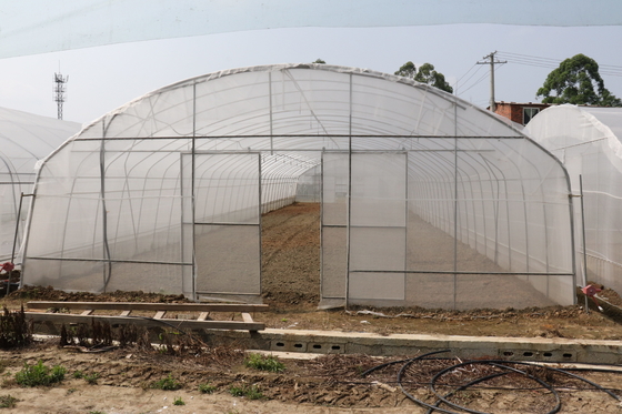 Spanne Polytunnel Sri Lanka Colombo Steel Frame Greenhouse Single