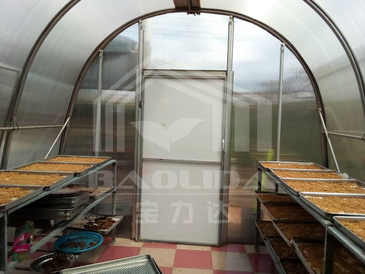 Polycarbonats-Brett-Paprikas, die Solargewächshaus-Trockner für Gemüse-Früchte trocknen
