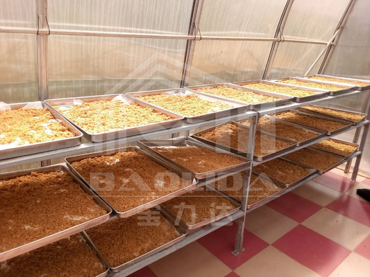 Polycarbonats-Brett-Paprikas, die Solargewächshaus-Trockner für Gemüse-Früchte trocknen