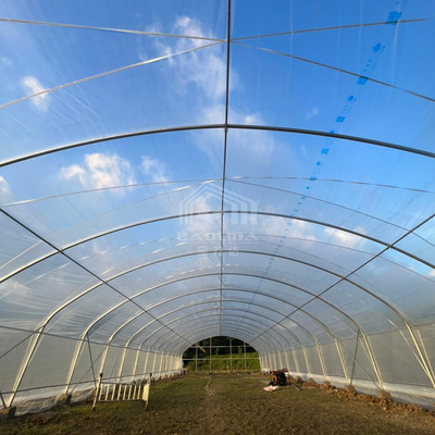 6x15m Mehrzweck-Tunnel-Gewächshaus mit hervorragender Lichtübertragung