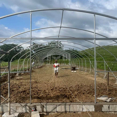Tunnel Kunststoff Gewächshaus Galvanisierter Stahlrahmen Pe Film Gewächshaus Einfachspannung Gewächshaus