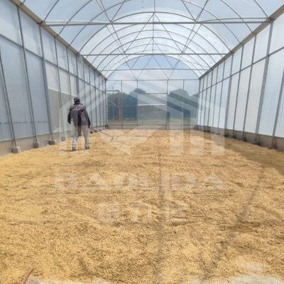 Höherer Tunnel-Gewächshaus mit langlebiger Stahlkonstruktion für Landwirtschaft