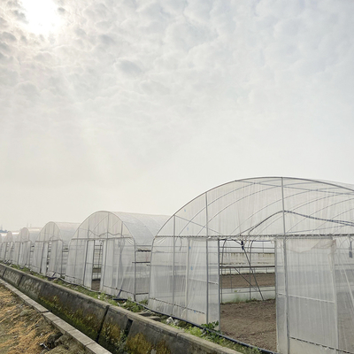 6x15m Tunnel Gewächshaus für Blumen- und Gemüseanbauprojekte