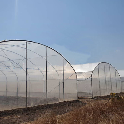 6x15m Tunnel Gewächshaus für Blumen- und Gemüseanbauprojekte
