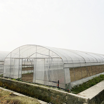 6x15m Tunnel Gewächshaus für Blumen- und Gemüseanbauprojekte