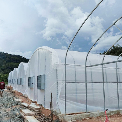 Galvanisiertes Rohrrahmen-Tunnel-Gewächshaus mit optimaler Isolierung