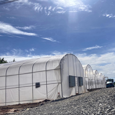 Galvanisiertes Rohrrahmen-Tunnel-Gewächshaus mit optimaler Isolierung
