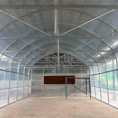 Galvanisiertes Rohrrahmen-Tunnel-Gewächshaus mit optimaler Isolierung