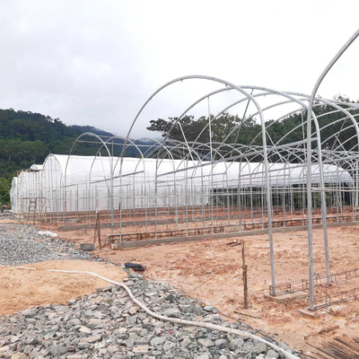 Galvanisiertes Rohrrahmen-Tunnel-Gewächshaus mit optimaler Isolierung