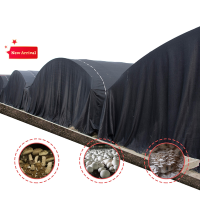 Professionelles Gewächshaus für Fruchtpilz-Tunnel mit Film- und Schattennetzabdeckungsmaterial