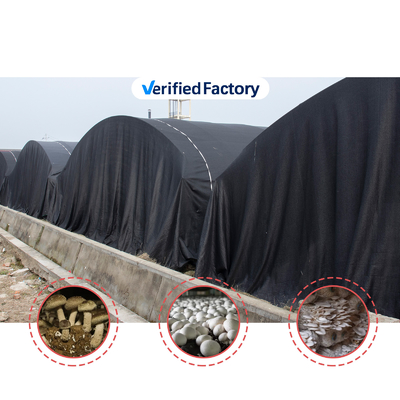 Professionelles Gewächshaus für Fruchtpilz-Tunnel mit Film- und Schattennetzabdeckungsmaterial