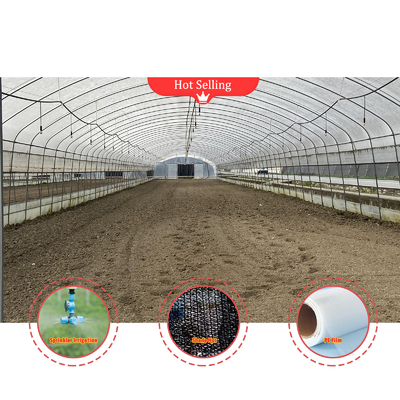 BAOLIDA Wirtschaftliche Landwirtschaftliche Schwarzschattennetz Tunnelfilm Gewächshaus für Pilze