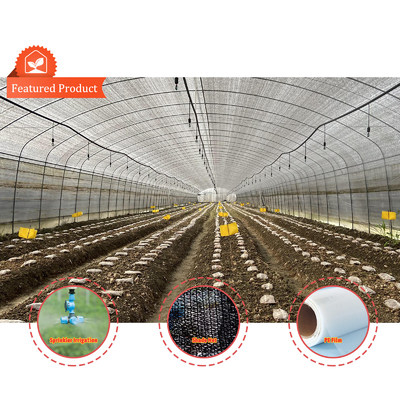 BAOLIDA Wirtschaftliche Landwirtschaftliche Schwarzschattennetz Tunnelfilm Gewächshaus für Pilze