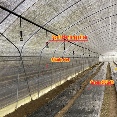 BAOLIDA Wirtschaftliche Landwirtschaftliche Schwarzschattennetz Tunnelfilm Gewächshaus für Pilze
