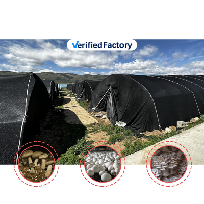 Seitenhöhe 1,2-1,8 m und Bogenraum 1-1,5 m Pilz Poly Tunnel Gewächshaus UV-geschützt