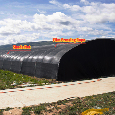 Seitenhöhe 1,2-1,8 m und Bogenraum 1-1,5 m Pilz Poly Tunnel Gewächshaus UV-geschützt