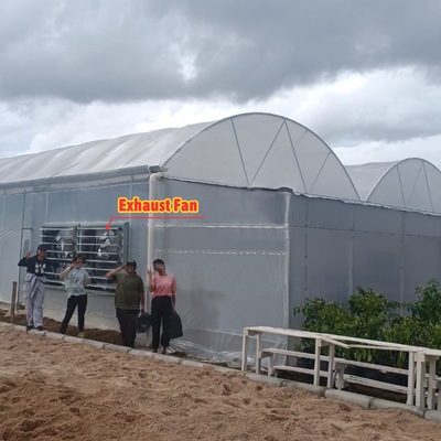 Blumen- und Gemüseanbau Gewächshaus Quonset Hut Wintergarten Anbauhaus Leitungskanal Großgewächshäuser mit Dachlüftung