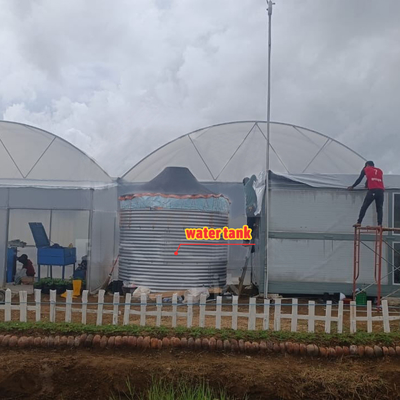 Blumen- und Gemüseanbau Gewächshaus Quonset Hut Wintergarten Anbauhaus Leitungskanal Großgewächshäuser mit Dachlüftung