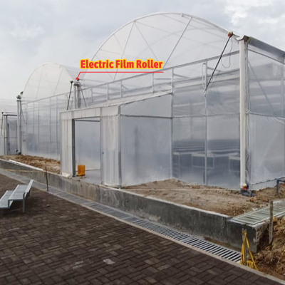 Blumen- und Gemüseanbau Gewächshaus Quonset Hut Wintergarten Anbauhaus Leitungskanal Großgewächshäuser mit Dachlüftung