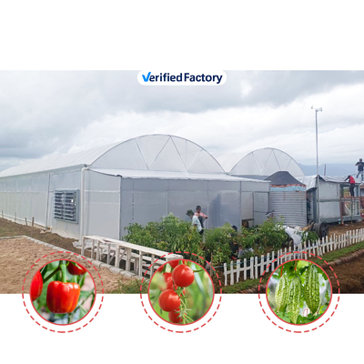 Blumen- und Gemüseanbau Gewächshaus Quonset Hut Wintergarten Anbauhaus Leitungskanal Großgewächshäuser mit Dachlüftung