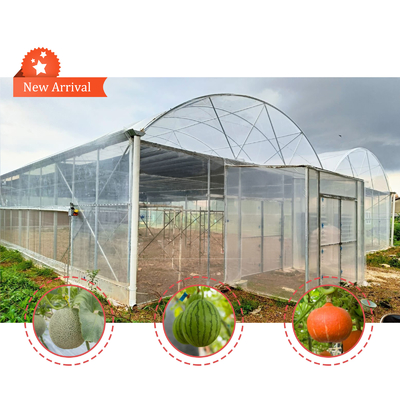 Blumen- und Gemüseanbau Gewächshaus Quonset Hut Wintergarten Anbauhaus Leitungskanal Großgewächshäuser mit Dachlüftung
