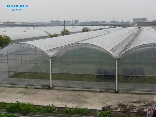 Flora Multi-Tunnel Po Film Multi-Span Gewächshaus mit moderner automatischer Steuerung
