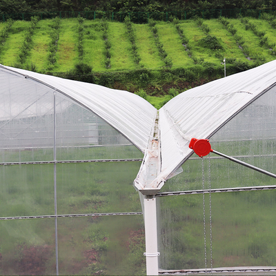 Flora Multi-Tunnel Po Film Multi-Span Gewächshaus mit moderner automatischer Steuerung