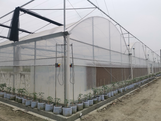 Flora Multi-Tunnel Po Film Multi-Span Gewächshaus mit moderner automatischer Steuerung