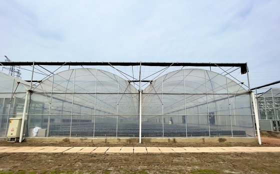 Flora Multi-Tunnel Po Film Multi-Span Gewächshaus mit moderner automatischer Steuerung