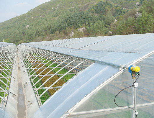 Flora Multi-Tunnel Po Film Multi-Span Gewächshaus mit moderner automatischer Steuerung