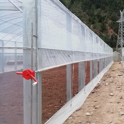 Flora Multi-Tunnel Po Film Multi-Span Gewächshaus mit moderner automatischer Steuerung