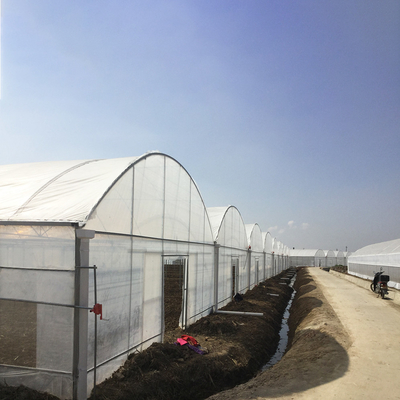 8-60m Länge hoher Tunnel Kunststofffilm Gewächshaus anpassbare Größe für Landwirtschaft und Blumenproduktion