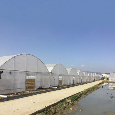 8-60m Länge hoher Tunnel Kunststofffilm Gewächshaus anpassbare Größe für Landwirtschaft und Blumenproduktion