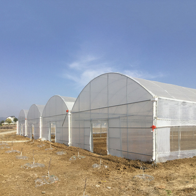 8-60m Länge hoher Tunnel Kunststofffilm Gewächshaus anpassbare Größe für Landwirtschaft und Blumenproduktion