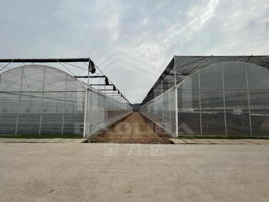 Baolida High Tunnel Plastikfilm Multi Span Tropischer Gewächshaus Seitenabfluss Landwirtschaft Gewächshaus mit Schattierungssystem
