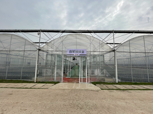 Baolida High Tunnel Plastikfilm Multi Span Tropischer Gewächshaus Seitenabfluss Landwirtschaft Gewächshaus mit Schattierungssystem