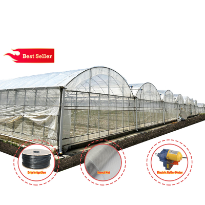 Baolida Automatisches System Gewächshaus Tropisches Hydroponisches System Mehrspann-Säenhaus