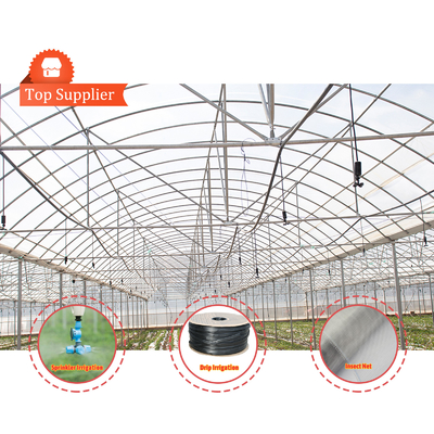 Baolida Automatisches System Gewächshaus Tropisches Hydroponisches System Mehrspann-Säenhaus
