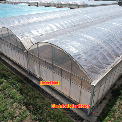 Baolida Automatisches System Gewächshaus Tropisches Hydroponisches System Mehrspann-Säenhaus