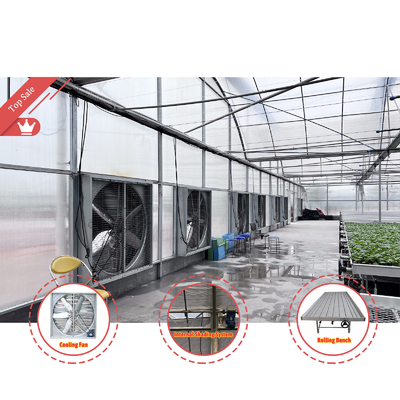 Thermostat Wasserdichte Pflanze Wachstum Hydroponik System Tunnel Große Gewächshäuser für Blumen