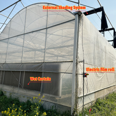Landwirtschafts-Tunnel-Gewächshaus Kunststofffolie mehrspannendes Erdbeer-Gewächshaus zum Verkauf mit Lüftungssystem