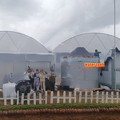 Mehrspannendes landwirtschaftliches Gewächshaus 6m-12m Breite mit 150/200 Mikron PE-Film