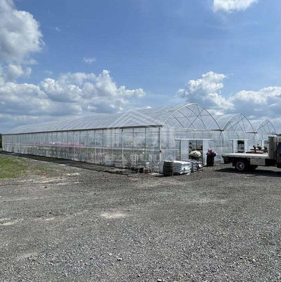 Großes Mehrschiff-PE-Gewächshaus 50-100m Länge 7-10m Breite