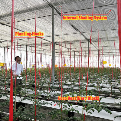 Gewächshausrahmen aus verzinktem Stahl mit 6-12m Spannweite und 150/200 Mikron PE-Folie