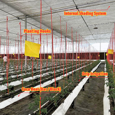 Gewächshausrahmen aus verzinktem Stahl mit 6-12m Spannweite und 150/200 Mikron PE-Folie