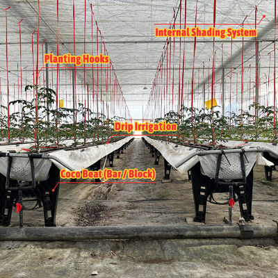 Gewächshausrahmen aus verzinktem Stahl mit 6-12m Spannweite und 150/200 Mikron PE-Folie