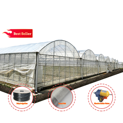 24x40m galvanisiertes Stahl Gewächshaus mit 150 Mikron PE-Film