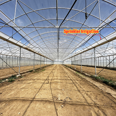 24x40m galvanisiertes Stahl Gewächshaus mit 150 Mikron PE-Film